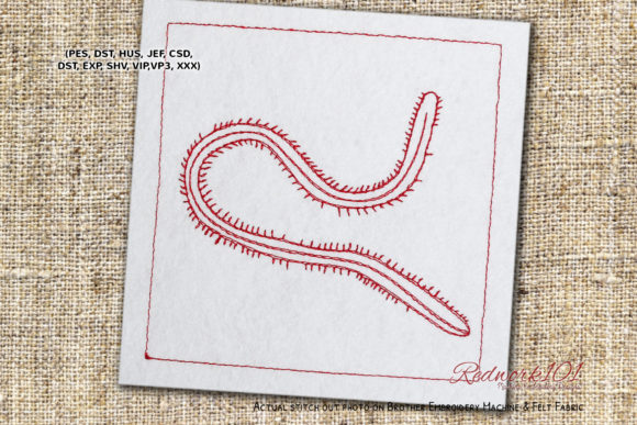Bristle Worm: A Designer’s Review for Custom Gifts