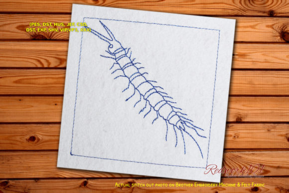 Centipede Worm Redwork: A Designer’s Holiday Review