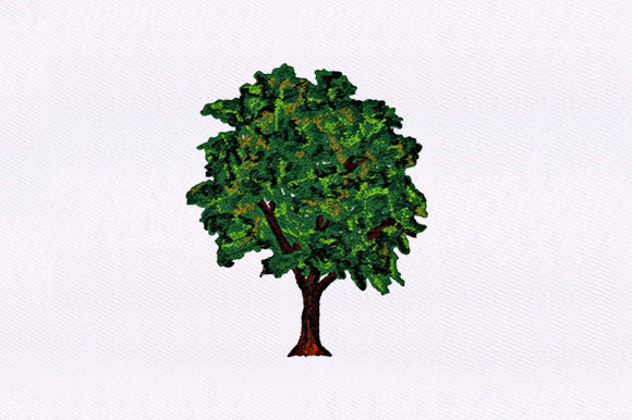 Evergreen Tree Design: A Holiday Review