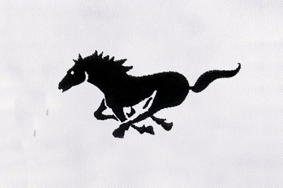 Reviewing Black Horse Design for Boutique Apparel